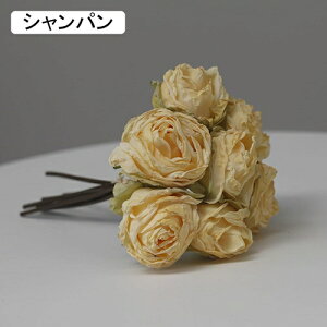   ԑ CeA  o ͂Ȃ Q   ItBX ̓  a j JXj  EFfBO p[eB[ v[g ʐ^ A[gt