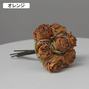   ԑ CeA  o ͂Ȃ Q   ItBX ̓  a j JXj  EFfBO p[eB[ v[g ʐ^ A[gt