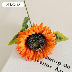   CeA  Ђ܂ 1{ ͂Ȃ Q   ItBX ̓  a j JXj  EFfBO p[eB[ v[g ʐ^ A[gt