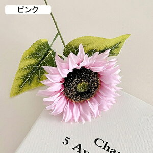   CeA  Ђ܂ 1{ ͂Ȃ Q   ItBX ̓  a j JXj  EFfBO p[eB[ v[g ʐ^ A[gt