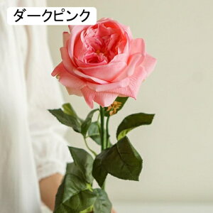   CeA  o 1{ ͂Ȃ Q   ItBX ̓  a j JXj  EFfBO p[eB[ v[g ʐ^ A[gt