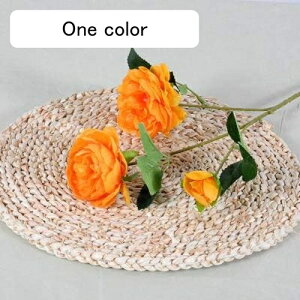 Ỏ  ͂Ȃ V~[V 蕨̉ ԑ CeA A[gt[ VN  X iX  p[eB[ Cxg   Mtg A[gt[i