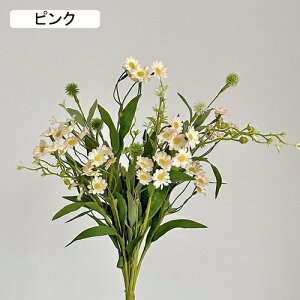   CeA  fCW[ 1 ͂Ȃ Q   ItBX ̓  a j JXj  EFfBO p[eB[ v[g ʐ^ A[gt