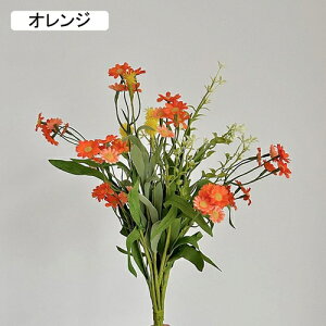   CeA  fCW[ 1 ͂Ȃ Q   ItBX ̓  a j JXj  EFfBO p[eB[ v[g ʐ^ A[gt