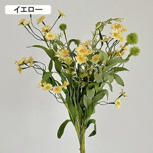   CeA  fCW[ 1 ͂Ȃ Q   ItBX ̓  a j JXj  EFfBO p[eB[ v[g ʐ^ A[gt