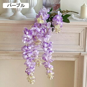   CeA  ̉ 1{ ͂Ȃ Q   ItBX ̓  a j JXj  EFfBO p[eB[ v[g ʐ^ A[gt