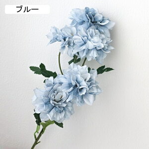   CeA  VNN 1{ ͂Ȃ Q   ItBX ̓  a j JXj  EFfBO p[eB[ v[g ʐ^ A[g