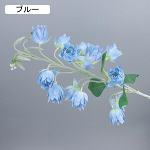   CeA  ̉ 1{ ͂Ȃ Q   ItBX ̓  a j JXj  EFfBO p[eB[ v[g ʐ^ A[gt