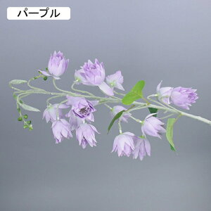   CeA  ̉ 1{ ͂Ȃ Q   ItBX ̓  a j JXj  EFfBO p[eB[ v[g ʐ^ A[gt