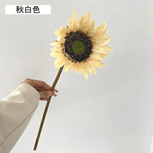   CeA  Ђ܂ 1{ ͂Ȃ Q   ItBX ̓  a j JXj  EFfBO p[eB[ v[g ʐ^ A[gt