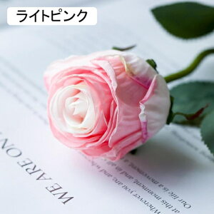   CeA  o 2{ ͂Ȃ Q   ItBX ̓  a j JXj  EFfBO p[eB[ v[g ʐ^ A[gt