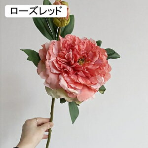   CeA  O 2{ ͂Ȃ Q   ItBX ̓  a j JXj  EFfBO p[eB[ v[g ʐ^ A[gt