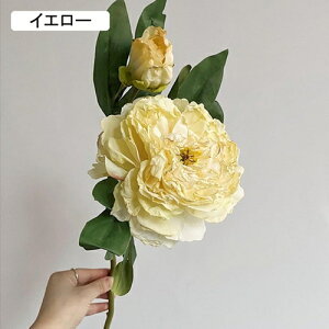   CeA  O 2{ ͂Ȃ Q   ItBX ̓  a j JXj  EFfBO p[eB[ v[g ʐ^ A[gt