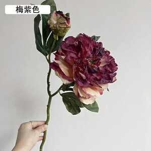   CeA  O 2{ ͂Ȃ Q   ItBX ̓  a j JXj  EFfBO p[eB[ v[g ʐ^ A[gt