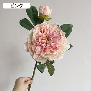   CeA  O 2{ ͂Ȃ Q   ItBX ̓  a j JXj  EFfBO p[eB[ v[g ʐ^ A[gt