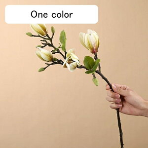   CeA  ̉ 1{ ͂Ȃ Q   ItBX ̓  a j JXj  EFfBO p[eB[ v[g ʐ^ A[gt