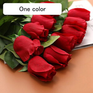  CeA ԐF 10{ [Y o KN ͂Ȃ A[gt[ ̓v[g Mtg 킢 j   X iX  p[eB[ a ԑ 蕨̉ l