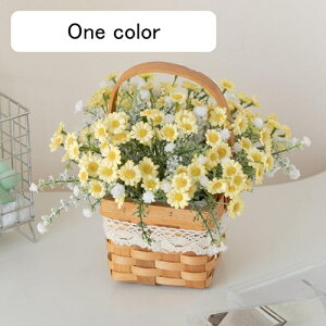  CeA  fCW[ nhoXPbgt tFCNt[ lH ԑu Y k  Vzj ]j a v[g sNjbN Lv Be z[ X