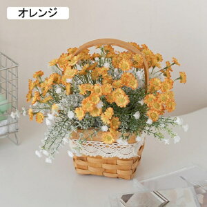  CeA  fCW[ nhoXPbgt tFCNt[ lH ԑu Y k  Vzj ]j a v[g sNjbN Lv Be z[ X