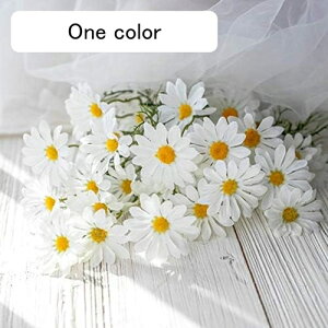  CeA J~[ fCW[ ͂Ȃ A[gt[ ̓v[g Mtg 킢 j   X p[eB[ ԑ iX lHϗtA a  蕨