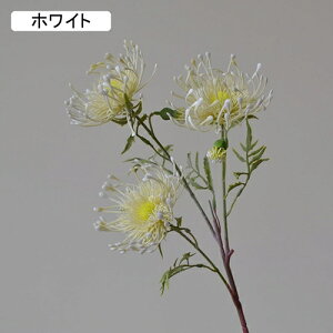   CeA  ẻ 1{ ͂Ȃ Q   ItBX ̓  a j JXj  EFfBO p[eB[ v[g ʐ^ A[gt