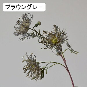   CeA  ẻ 1{ ͂Ȃ Q   ItBX ̓  a j JXj  EFfBO p[eB[ v[g ʐ^ A[gt