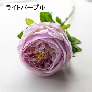   CeA  o 1{ ͂Ȃ Q   ItBX ̓  a j JXj  EFfBO p[eB[ v[g ʐ^ A[gt