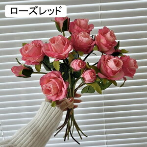   ԑ CeA  KN 1 ͂Ȃ Q   ItBX ̓  a j JXj  EFfBO p[eB[ v[g ʐ^ A[g