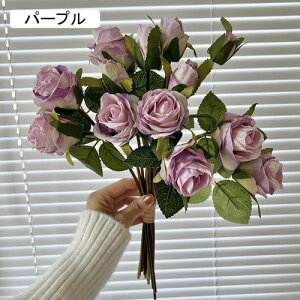   ԑ CeA  KN 1 ͂Ȃ Q   ItBX ̓  a j JXj  EFfBO p[eB[ v[g ʐ^ A[g