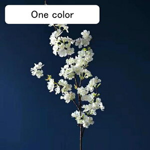   CeA   1{ ͂Ȃ Q   ItBX ̓  a j JXj  EFfBO p[eB[ v[g ʐ^ A[gt[