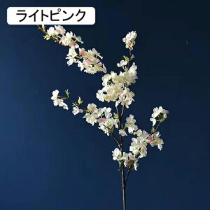   CeA   1{ ͂Ȃ Q   ItBX ̓  a j JXj  EFfBO p[eB[ v[g ʐ^ A[gt[