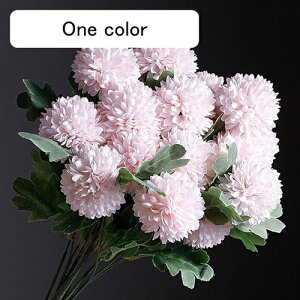  CeA s|e 10{ CgsN ͂Ȃ A[gt[ ̓v[g Mtg 킢 j   X iX  p[eB[ a ԑ 蕨̉ l