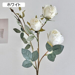   CeA  KN 1{ ͂Ȃ Q   ItBX ̓  a j JXj  EFfBO p[eB[ v[g ʐ^ A[gt