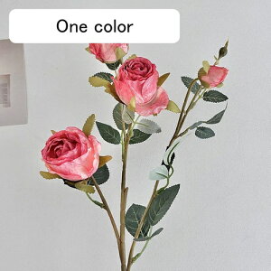   CeA  KN 1{ ͂Ȃ Q   ItBX ̓  a j JXj  EFfBO p[eB[ v[g ʐ^ A[gt