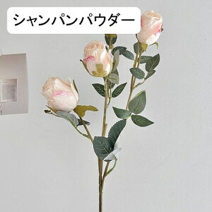   CeA  KN 1{ ͂Ȃ Q   ItBX ̓  a j JXj  EFfBO p[eB[ v[g ʐ^ A[gt