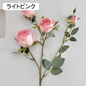   CeA  KN 1{ ͂Ȃ Q   ItBX ̓  a j JXj  EFfBO p[eB[ v[g ʐ^ A[gt