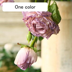  [Y ỏԑ u[P g ͂Ȃ A[gt[ CeA e[u AW I[ig Be  o^C NX}X j v[g 蕨 3