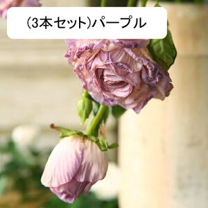  [Y ỏԑ u[P g ͂Ȃ A[gt[ CeA e[u AW I[ig Be  o^C NX}X j v[g 蕨 3