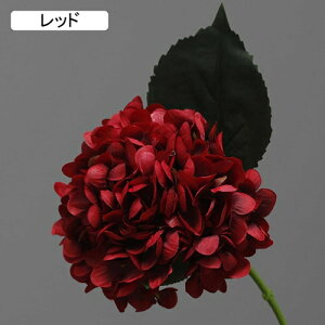   CeA  AWTC 1{ ͂Ȃ Q   ItBX ̓  a j JXj  EFfBO p[eB[ v[g ʐ^ A[gt