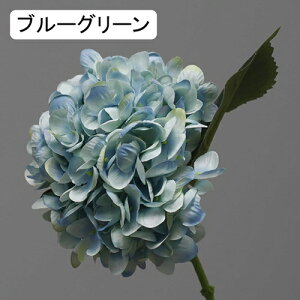   CeA  AWTC 1{ ͂Ȃ Q   ItBX ̓  a j JXj  EFfBO p[eB[ v[g ʐ^ A[gt