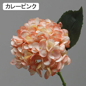   CeA  AWTC 1{ ͂Ȃ Q   ItBX ̓  a j JXj  EFfBO p[eB[ v[g ʐ^ A[gt