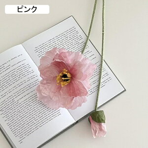   CeA  1{ ͂Ȃ Q   ItBX ̓  a j JXj  EFfBO p[eB[ v[g ʐ^ A[gt[ 