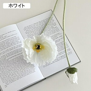   CeA  1{ ͂Ȃ Q   ItBX ̓  a j JXj  EFfBO p[eB[ v[g ʐ^ A[gt[ 