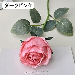   CeA  KN 1{ ͂Ȃ Q   ItBX ̓  a j JXj  EFfBO p[eB[ v[g ʐ^ A[gt