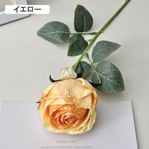   CeA  KN 1{ ͂Ȃ Q   ItBX ̓  a j JXj  EFfBO p[eB[ v[g ʐ^ A[gt