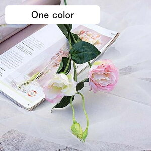 6{  ԑ gRj[ O[ tFCNt[ CeA k A[eBtBVt[ A X^CbV v[g Ȃ  蕨 ̓ JXj 