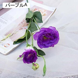 6{  ԑ gRj[ O[ tFCNt[ CeA k A[eBtBVt[ A X^CbV v[g Ȃ  蕨 ̓ JXj 