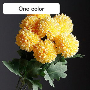  CeA s|e 5{ F ͂Ȃ A[gt[ ̓v[g Mtg 킢 j   X iX  p[eB[ a ԑ 蕨̉ lHϗtA