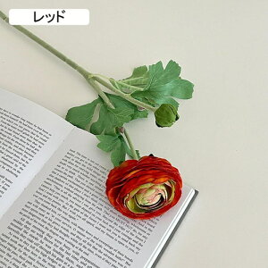   CeA  [ 1{ ͂Ȃ Q   ItBX ̓  a j JXj  EFfBO p[eB[ v[g ʐ^ A[gt