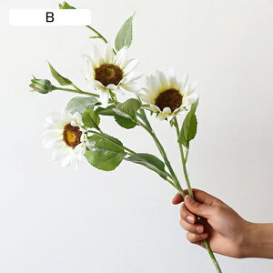  Ђ܂  ϗtA ƒ/rO/|[`/_CjOe[u/z[/EFfBO/p[eB[/ItBX/Q/zep tFCNt[  lHA zj ̓ v